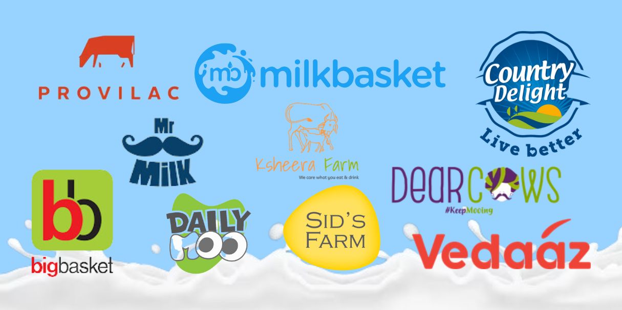 How Milk Delivery App Transforms the Dairy Industry Fresh and Fast?