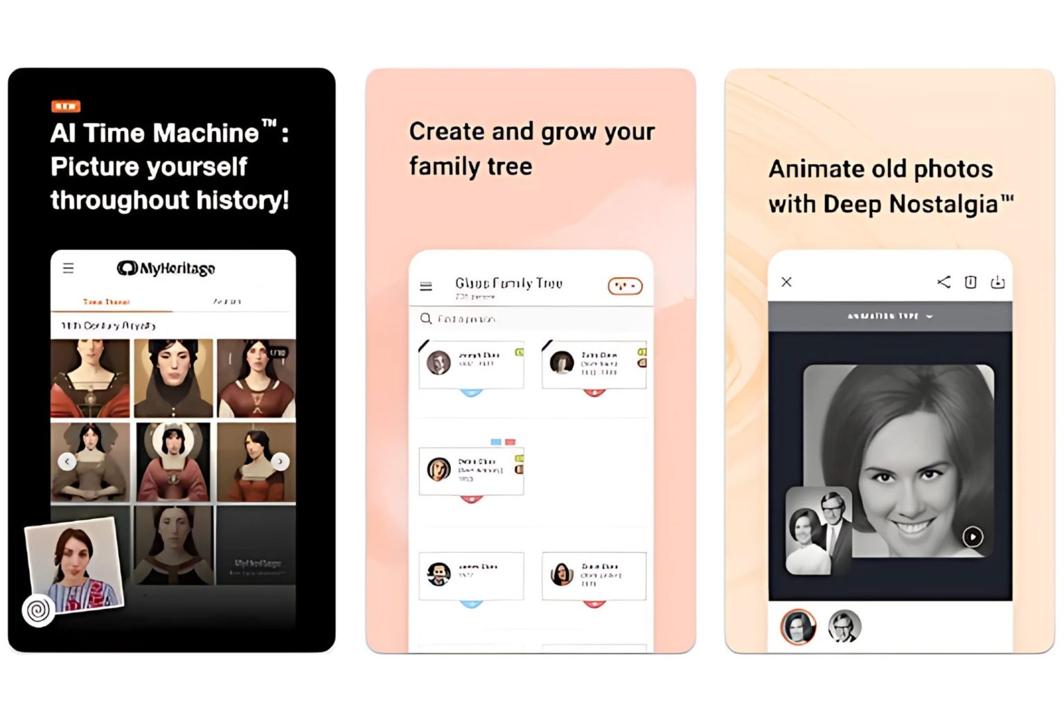 Revive App Features & Cost to Develop Photo Animation App